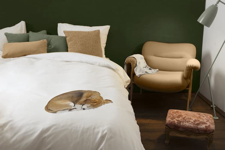 Snurk Bob dekbedovertrek