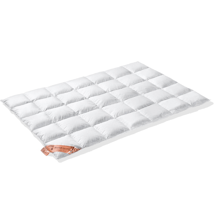 VanDyck Excellent Dekbed 450