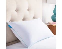 Hoofdkussen 40 x 60 cm Gel Traagschuimvlokken Öko-Tex Ademend Verkoelend - Wasbare Katoenen Hoes Wit hoofdkussen