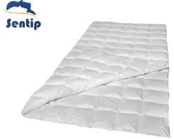 Sentip dekbed - dekbedden - GANZENDONS - DONZEN - DONS - 200x200 - KATOEN - all year
