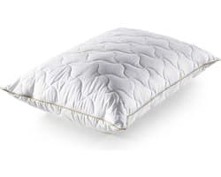 BSS Bedding Bambi Bamboe - Hoofdkussen - Kussens - Bamboe Hoofdkussen - Hoofdkussen Slaapkamer - Orthopedisch - Ergonomisch - Anti Nekklachten - Neksteun Visco Pillow-40x60