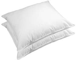 Queens Kussenset - Kussen - Synthetisch - 60x70 cm - 2 kussens