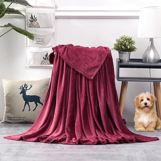 Verzwaringsdeken - Pluche deken - Ontspanning en comfort - Wasbaar en ademend - 120 x 200 cm - Rode wijn