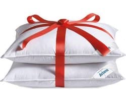 Hoofdkussen Ariane 1400 - 15% dons - 60x70 cm (VOORDEEL SET 2 STUKS)