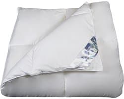 Polydaun FRISK dekbed - enkel - gerecyclede Isocraft® vulling - 100% fijne katoenen tijk - 200x200 cm