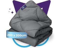 Slaapspeciaal eazydekbed Essential 200x200 cm - ANTRACIET - Dekbed Zonder Overtrek – Gekleurd Dekbed – Hoesloos Dekbed - Wasbaar Dekbed - Luxe Gelvezels - Anti-Allergisch & Perfect Voor Elk Seizoen - Tweepersoons