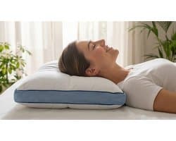 Sleepy Hybrid Kussen