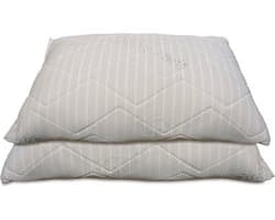 Traagschuim Kussens - Visco-elastische Kussens - Nekondersteuning - Zilver Coating - 91.4 x 50.8 cm - Zilver