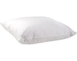 Ducky Dons Kussen - Puntkussen - 10% Dons - 60x60 - Wit