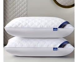 Set van 2 slaapkussens, afmeting 48x74 cm, met een stijlvol ontwerp dat geschikt is voor alle seizoenen. Deze luxe kussens, ontworpen voor een diepe slaap en nekondersteuning