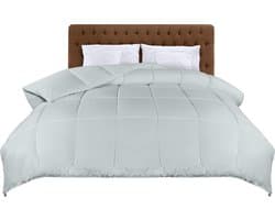 Allecto - Lichtgewicht Dekbed - Zomerdekbed 200x200 cm - Zacht en Comfortabel - Lichtgrijs - Polyester Vulling - Ideaal voor Slaapkamer - Gewatteer...