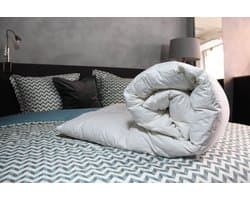 Loiva Premium - Ganzendons Winterdekbed 200 x 200 cm - Tweepersoons