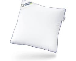 hoofdkussen / slaapkussen