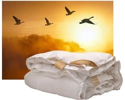iSleep Gold Donzen 4-seizoenen dekbed - 100% Ganzendons - Tweepersoons - 200x220 cm