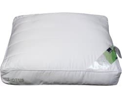 Polydaun Lotus hoofdkussen - Lyocell - Suprelle® Protect vulling - anti-huisstofmijt - navulbaar - 600 gram - soft - 62x50x10/5 cm