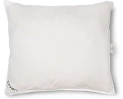 Kayori Umou Hoofdkussen Dons 60x70