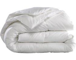 Z-LINE 4-seizoenen Dekbed - Tweepersoons (200) - 200x200