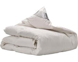 iSleep Donzen Dekbed - Enkel - 100% Dons (Warmteklasse 1) - Tweepersoons - 200x220 cm