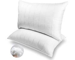 Kussens Set - Slaapkussens - Comfortabel Slapen - Driehoek Steun - Set van 2 - Wit