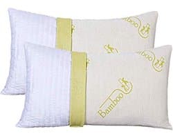 Slaapkussen 40 x 70 cm - Hoofdkussens van Traagschuim met Wasbare Bamboe-Overtrek