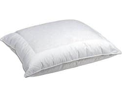 Waddendons Scharreldons- hoofdkussen- drie-kamer kussen- 60x70