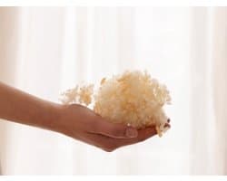 Yumeko hoofdkussen alpenden 60x70 medium - Biologisch & ecologisch