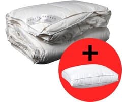 D'Orveige Dons 4-seizoenen Dekbed + Hoofdkussen - Tweepersoons - 200x220 cm - Wit