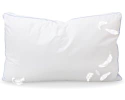 Natuurlijk Donskussen - Veren Kussen - Comfortabel Slapen - Gemaakt in Italië - 80x50 cm - Goud