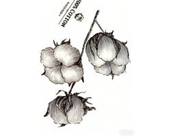 100% Katoenen Dekbed – Natuurlijk Katoenen Tijk & Vulling – Ademend, Zacht & Vochtregulerend – Formaat 220 x 240 cm