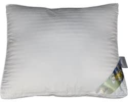 Polydaun Liv hoofdkussen - boxmodel - anti-huisstofmijt - GRS gerecyclede vulling - 950 gram - 65x55x5 cm