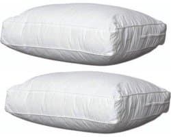 Swiss Box Kussen 50x60x10 2 stuks