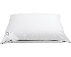 Lilly - Anti-Allergisch - Hoofdkussen