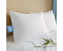 Zachte kussens van bamboe viscose met dons, alternatieve vulling, queensize set van 2, ademend en vochtafvoerend, luxe hotelkwaliteit