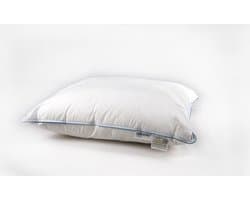 Hoofdkussen 60x70 Noblesse Punt 800 gram 60x70