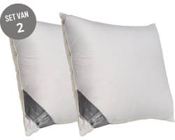 Ten Cate Hoofdkussen - Hoofdkussen Nekklachten - Eendendons & Eendenveren - DoubleFace - Zacht & Hard - 2 Hardheden - Geschikt voor rug-, zij- en buikslapers - Ergonomisch Hoofdkussen - 60x70 cm - 2 stuks