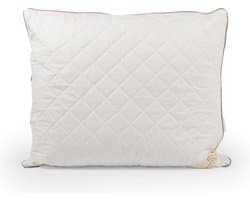 Tesselaer Wollen Hoofdkussen - 60x70cm - Zuivere Texelse Scheerwol - Hoofdkussen slaapkamer