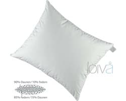 Loiva Best Night - Donzen Kussen met 90% Dons