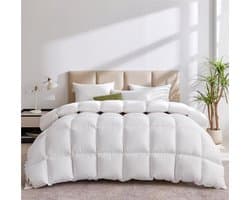 4-Seizoenen Donzen Dekbed 200x200 Cm – Oeko-Tex En RDS Gecertificeerd – 1600 Gram Donsvulling – Ademend En Luxe Comfort