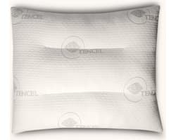 Doctor Fit Hoofdkussen - Tencel - Ergonomisch Kussen - 60x70 cm