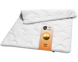 sleepling ultralichte zomerdekbed - dekbed 200x200 cm - allergievriendelijke microvezelhoes - als zomerdeken, dun dekbed, lichte deken voor zomer - Made in EU - 200 x 200 cm - wit