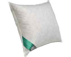 Ten Cate Hoofdkussen - Hoofdkussen Nekklachten - Eendenveren - Hoofdkussens - Geschikt voor rug-, zij- en buikslapers - Ergonomisch Kussen - 60x70 cm