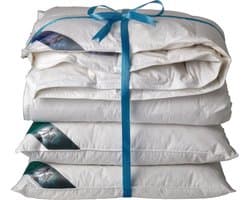 Ten Cate Dekbed - Dekbed 240x220 - dekbedden - 4 seizoenen dekbed - 60% eendendons - inclusief 2 eendenveren hoofdkussens