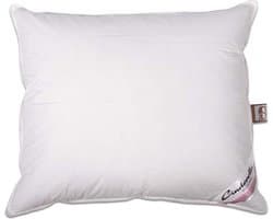 Cinderella Soul  Hoofdkussen - Medium - Veren - 60x70 cm