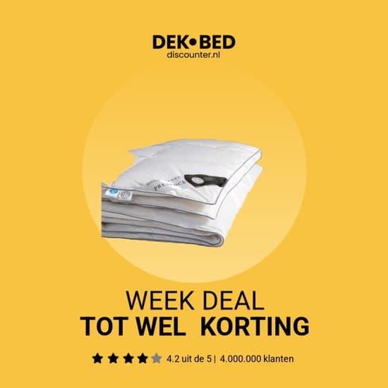 Presence - Tweepersoons Dekbed Dons Silver - All Season 260x220