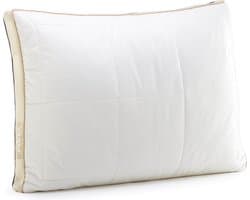 Vitapur Hoofdkussen - Hoofdkussen Nekklachten - Hoofdkussen Nekpijn - Verkoelend Hoofdkussen - Traagschuim Hoofdkussen - Geschikt voor rug-, zij- en buikslapers - Ergonomisch Hoofdkussen 50x70 cm