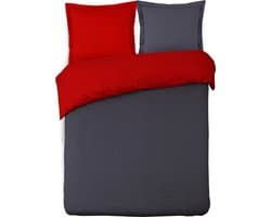 VISION Bicolor - Tweezijdig omkeerbaar Dekbedovertrekset - 100% katoen: zacht en soepel - Lits-jumeaux - Dekbedovertrek 240 x 220 cm met 2 bijhorende slopen - Grijs / Rood - Oekotex gecertificeerd