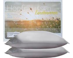 iSleep Hoofdkussen Set (2 Stuks) - Eendenveren - Medium - 1400 gram - 60x70 cm - Wit