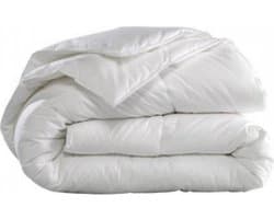 Dekbed Microvezel Enkel - 2 Persoons - 200x200 - Bedden4045