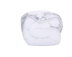 Snoozing Lienz - Synthetisch - 4-seizoenen dekbed - Tweepersoons - 200x200 cm - Wit