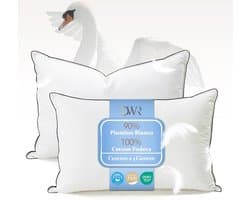 Donskussens Set - Hoofdkussens - Comfortabel Slapen - 3-kamer Constructie - 40x80 cm - Wit